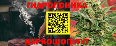 стафф Лесосибирск