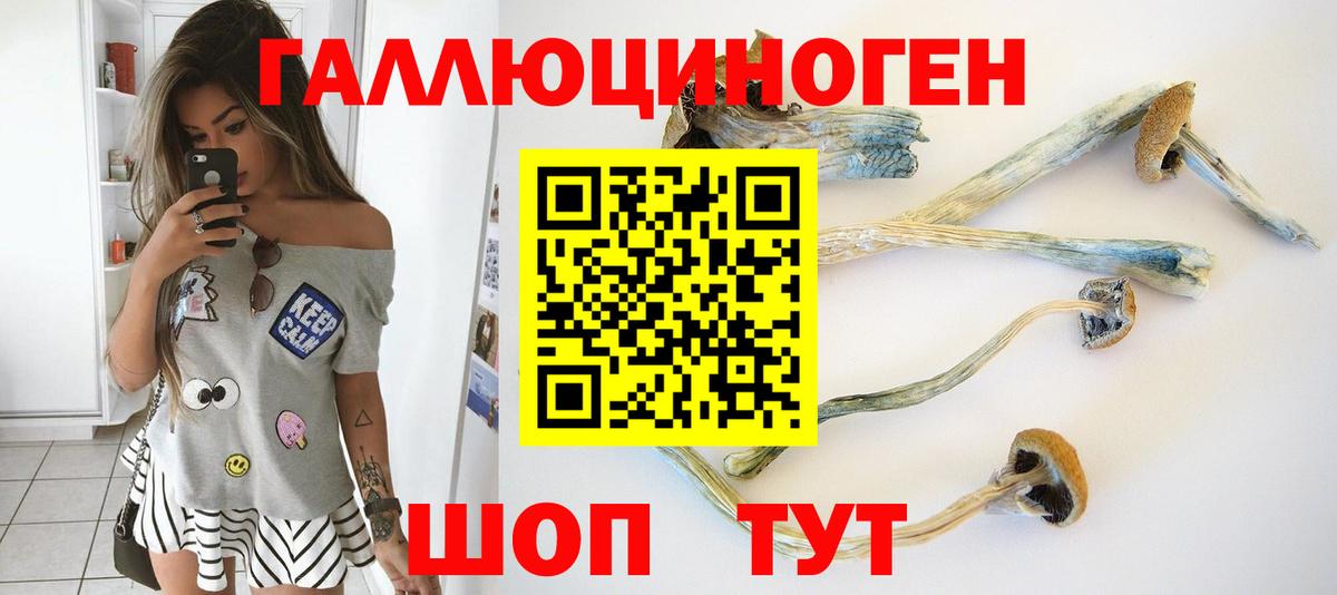 Галлюциногенные грибы Psilocybine cubensis  Вход с VPN  Десногорск  Галлюциногенные грибы Magic Shrooms 