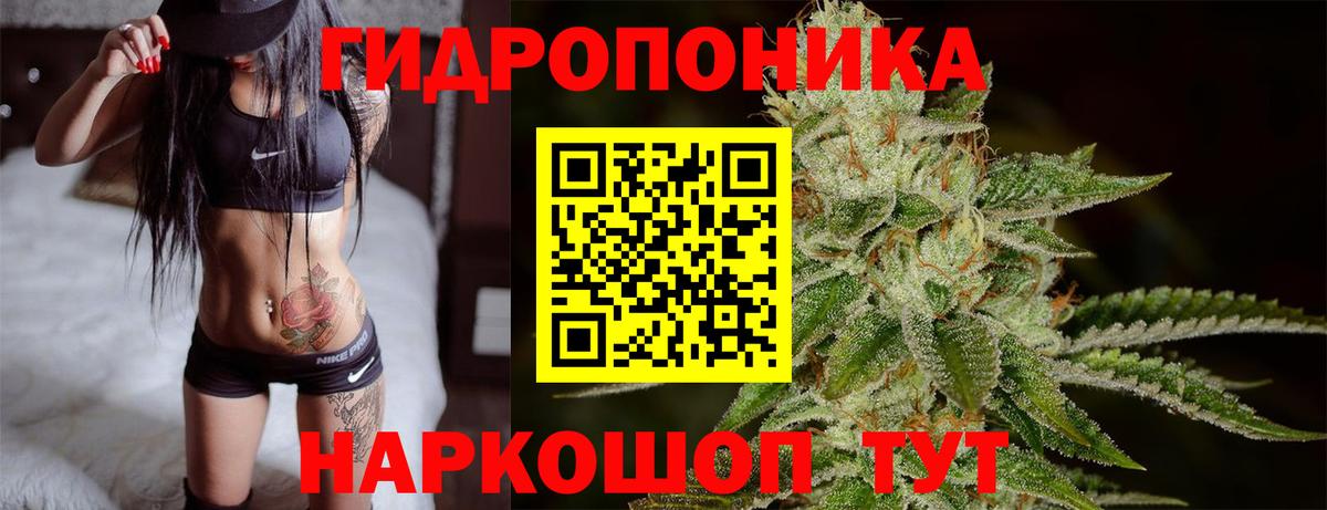 Бошки Шишки сатива Десногорск